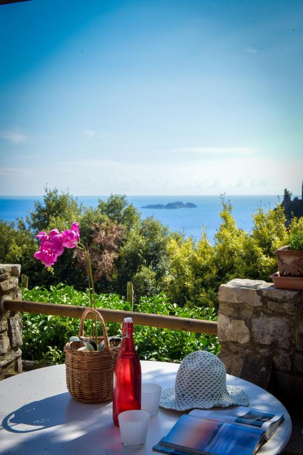 Villa Punta Del Sole Positano Exteriör bild